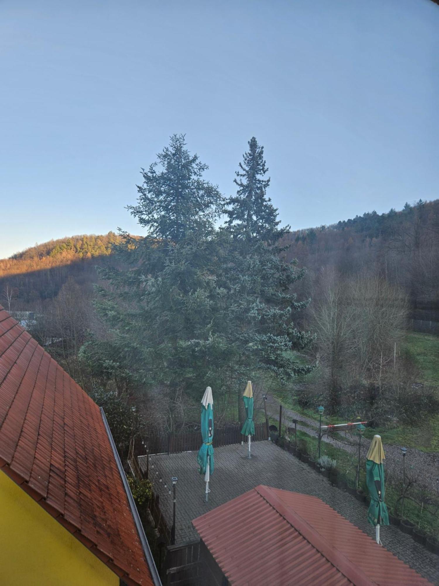 Naturfreundehaus Annweiler am Trifels Luaran gambar